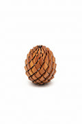 Pocket Dragon egg toy